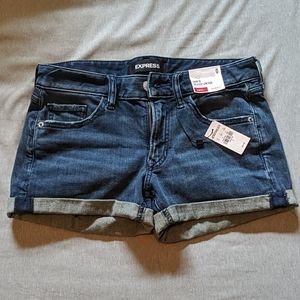 Express Shorties Relaxed Low Rise Jean Shorts